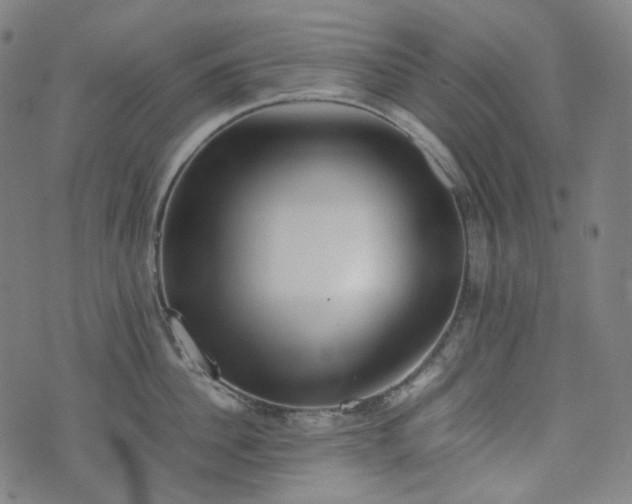 X0000074210956200609011148