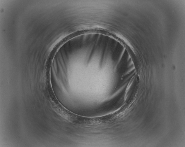 X0000074210975200609011147