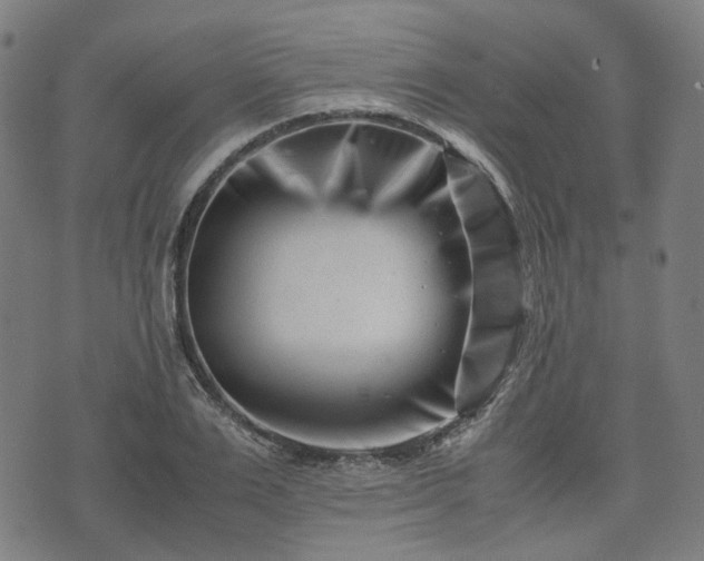 X0000074210983200609011147