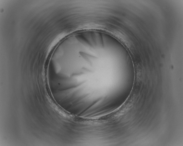 X0000074210990200609011147