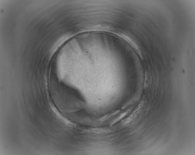 X0000074210998200609011147