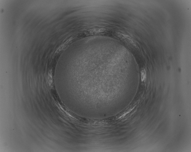 X0000074211011200609011146