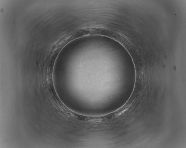 X0000074211014200609011146