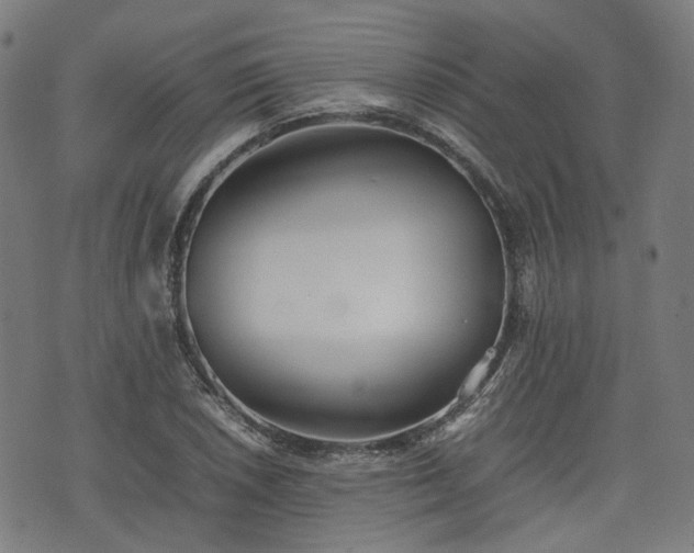X0000074211026200609011146