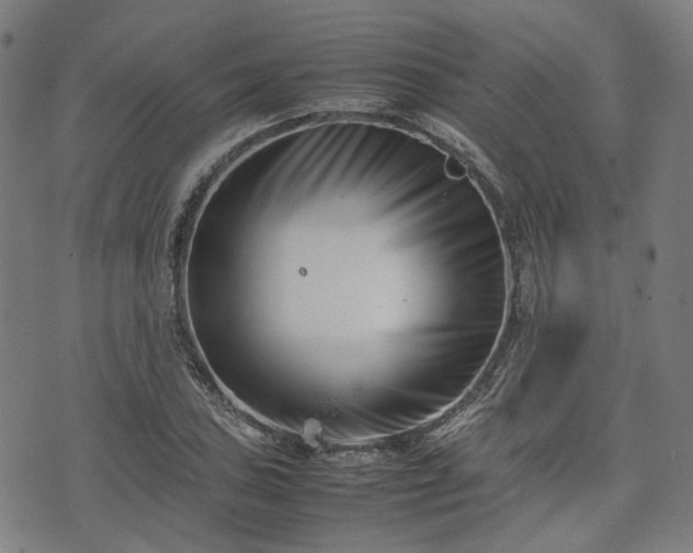 X0000074211027200609011146