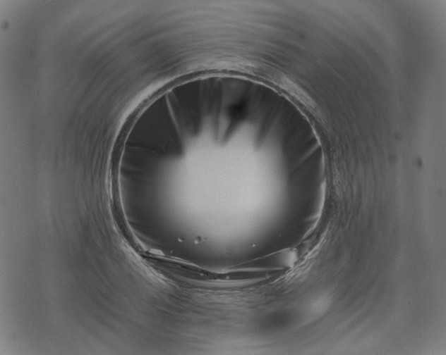 X0000074211028200609011146