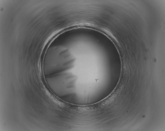 X0000074211032200609011146