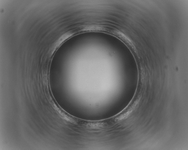 X0000074211041200609011146