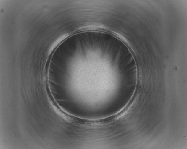 X0000074211042200609011146
