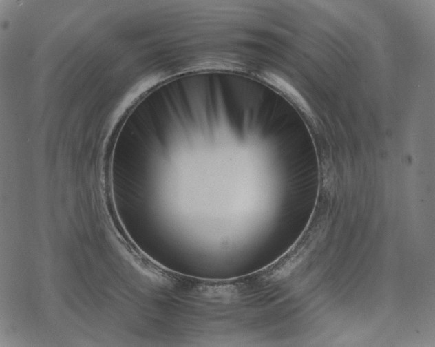 X0000074211043200609011146