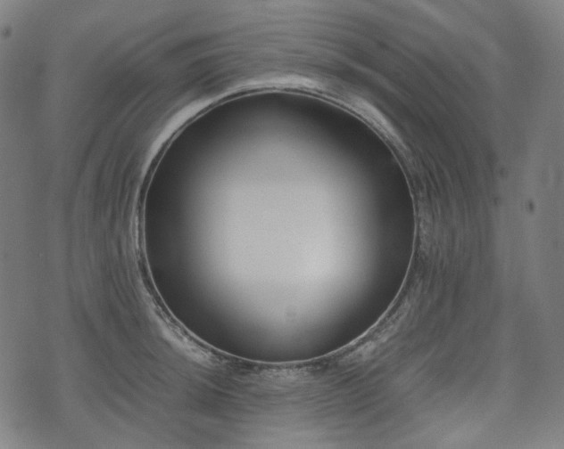 X0000074211044200609011146