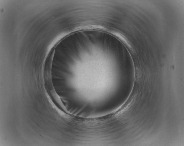 X0000074211046200609011147