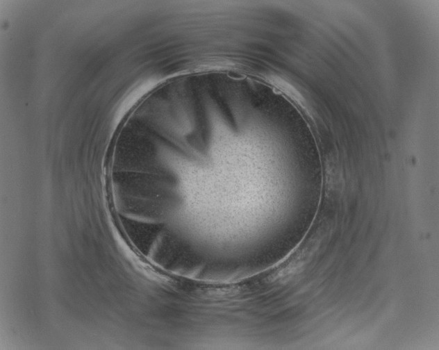 X0000074211047200609011147