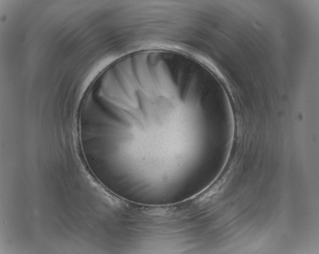 X0000074211048200609011147