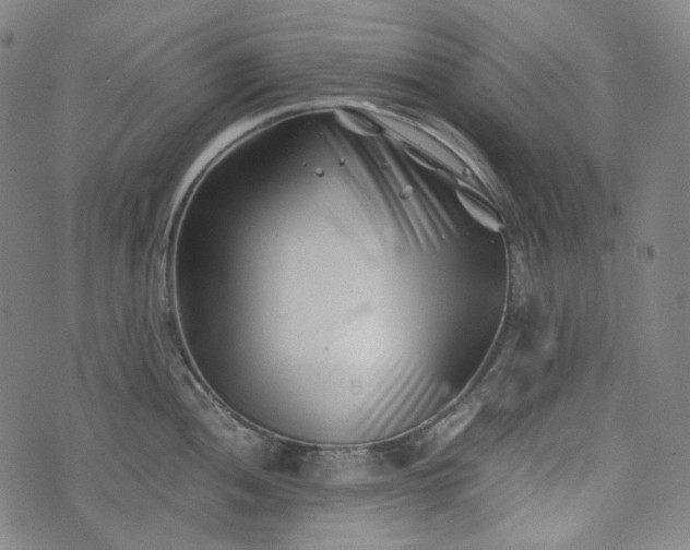 X0000074211052200609011147