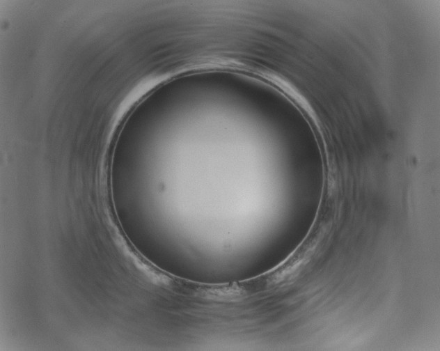 X0000074211053200609011147