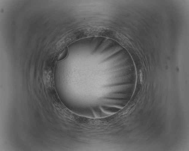 X0000074211059200609011146