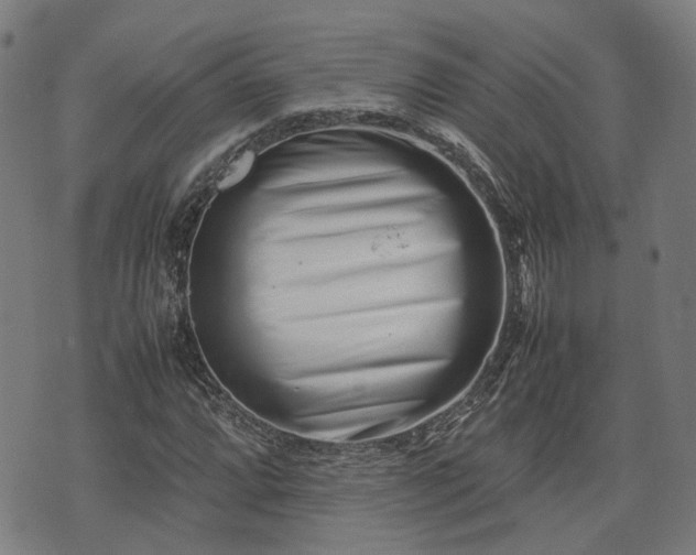 X0000074211064200609011146