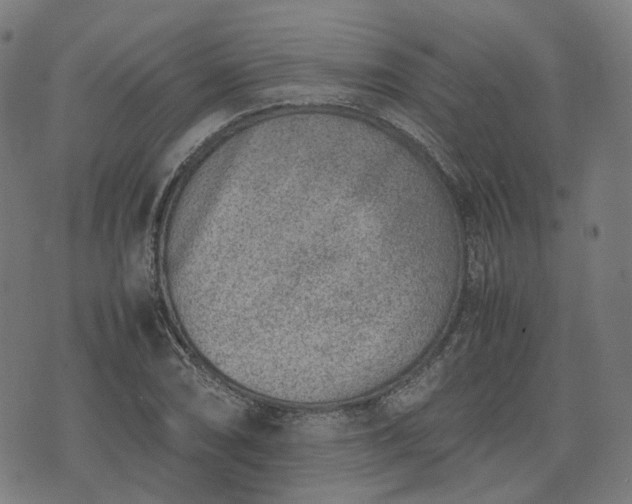 X0000074211074200609011146