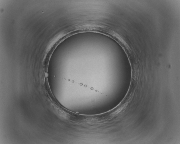 X0000074211075200609011146