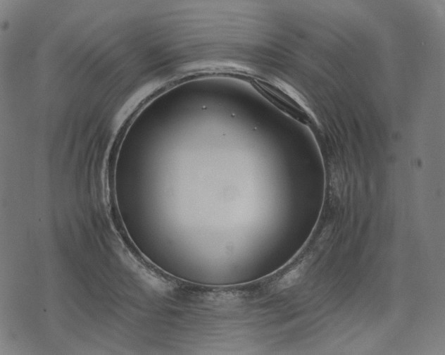 X0000074211082200609011146