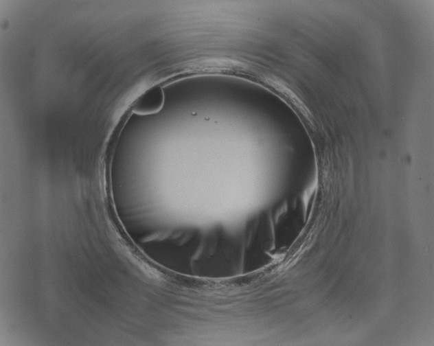 X0000074211083200609011146