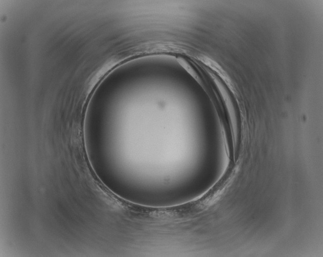 X0000074211089200609011145
