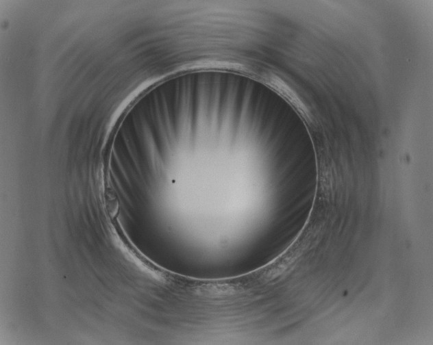 X0000074211092200609011145