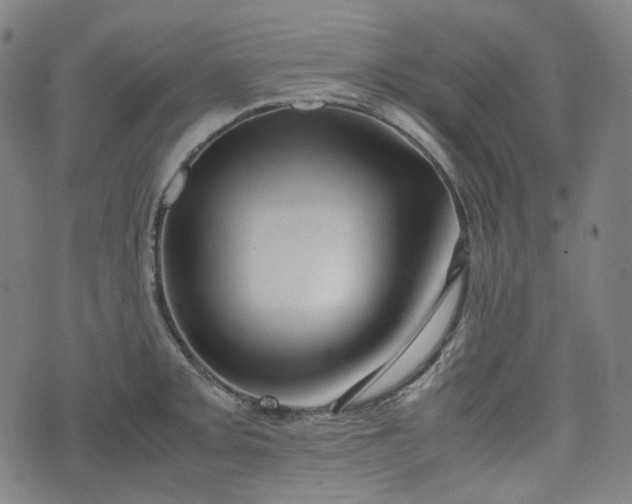 X0000074211093200609011145