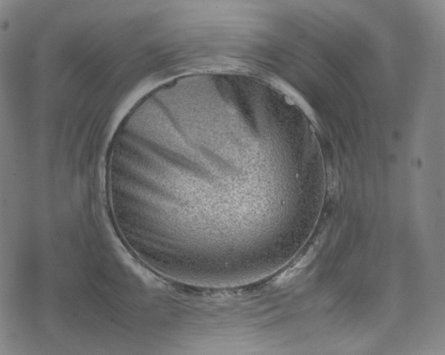 X0000074211099200609011145