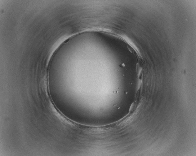 X0000074211100200609011145