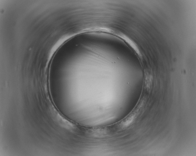 X0000074211102200609011145