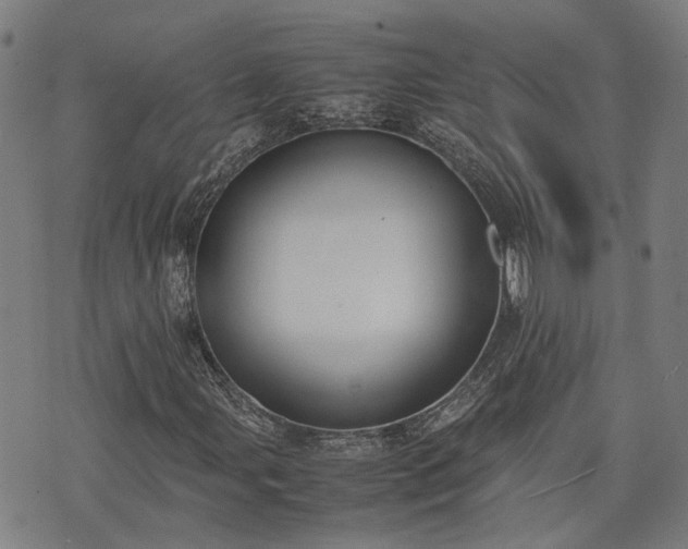 X0000074211107200609011144