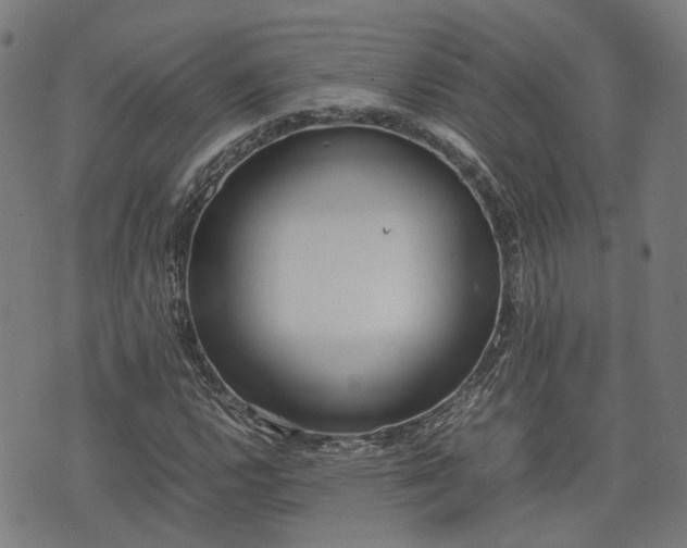 X0000074211112200609011145