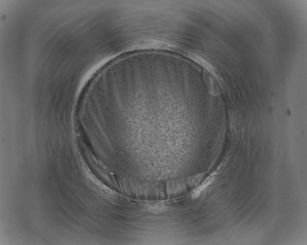 X0000074211120200609011145