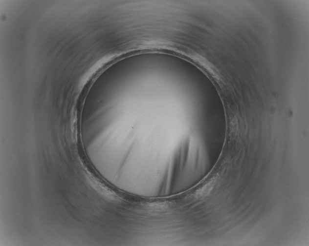 X0000074211126200609011145