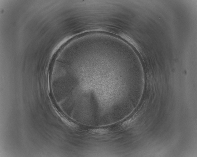 X0000074211127200609011145