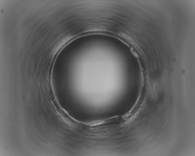 X0000074211129200609011145
