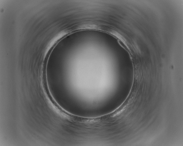 X0000074211139200609011145