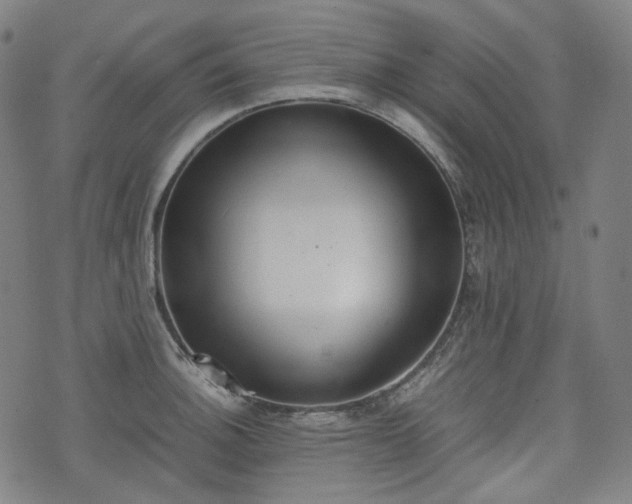 X0000074211140200609011145