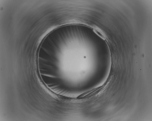 X0000074211142200609011145