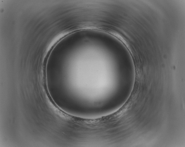 X0000074211147200609011145