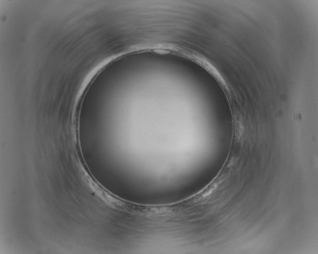 X0000074211148200609011145