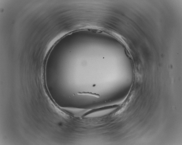 X0000074211149200609011145
