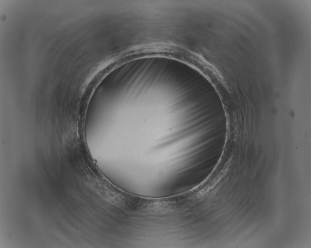 X0000074211166200609011144