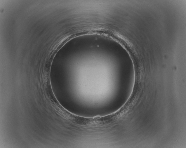 X0000074211169200609011144