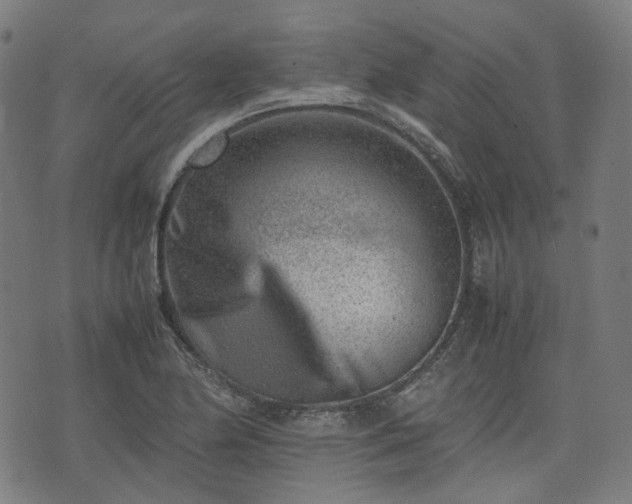 X0000074211174200609011144