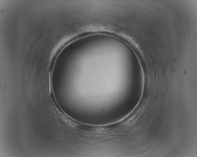 X0000074211175200609011144