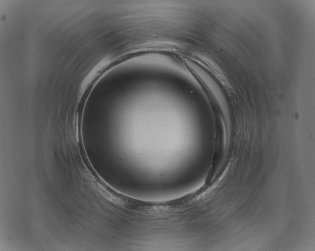 X0000074211180200609011144