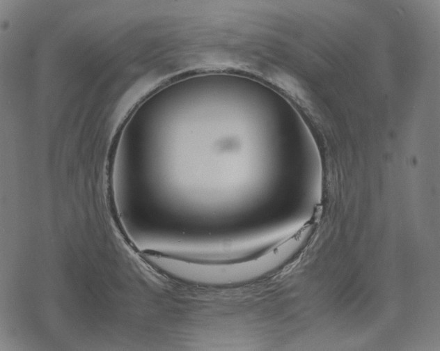 X0000074211183200609011144